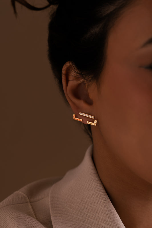 Gold Frame Earrings