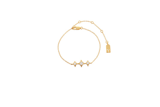 اسوارة عسير ذهبي