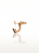 Gold Frame Earrings